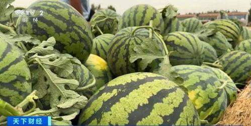 全国吃瓜网网,揭秘娱乐圈幕后故事，带你领略娱乐风云变幻