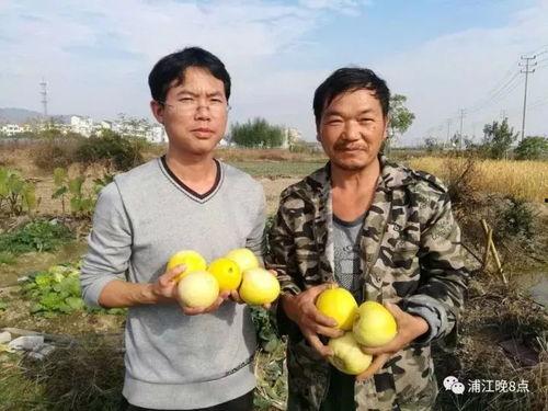 吃瓜群众气质好吗,网络时代的独特观察视角  第2张