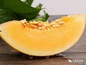 两年半瓜吃瓜解说