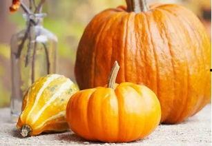 两年半瓜吃瓜解说  第3张