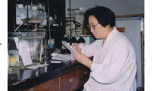 屠呦呦吃瓜视频,揭秘科学巨匠的日常生活瞬间  第3张