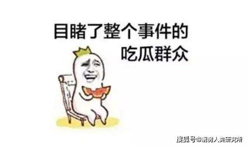 天天吃瓜的梗,揭秘“天天吃瓜”背后的网络文化现象  第2张