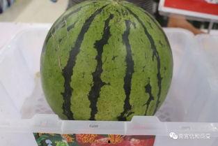 南宫市吃瓜,瓜香四溢，品味生活新风尚  第2张
